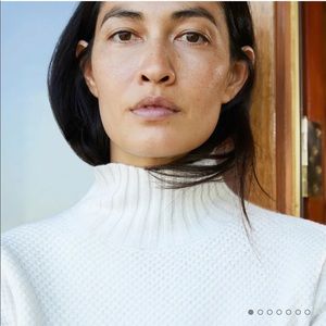 Everlane Oversized Stroopwafel Turtleneck (Bone)